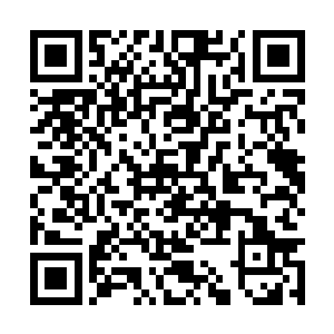 再敢叨逼一个字信不信我现在就把你从这里丢出去二维码生成