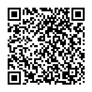 再根据第二代的丝状体和叶状体上发现的色彩型和频率进行基因分析……二维码生成