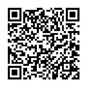 再次亲眼见证了史诗和神话之中的情节发生在自己眼前二维码生成