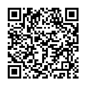 再次看着这360个令神皇强者看到都要变色的恐怖强横的诸神战偶二维码生成