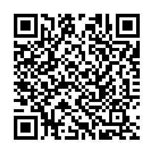 再没有一个修仙者和一个星海中央的普通人会相信我们二维码生成