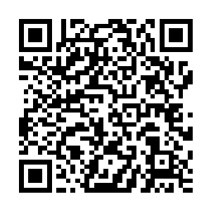 再者就是小城这边还没有完全的普及开手机付款和信用卡付款二维码生成