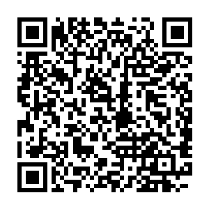 再联想到原剧情中他们也和他们的父母一样碌碌辛苦而恣睢的生活着二维码生成