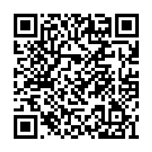 再蠢的人也知道只派刚刚那个废物过来就是送死二维码生成
