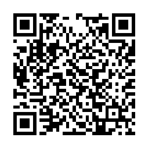 再说了这七色采莲根本就不能够帮助人类修炼成神二维码生成