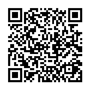 冯二蛋到最后估计是连傲世门的阵法都无法完全掌握二维码生成