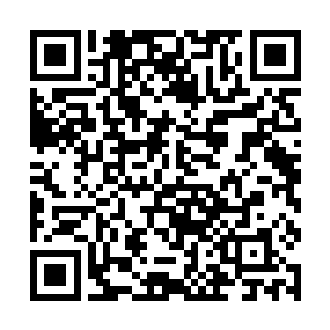 冯亮简简单单的一句话就压下了众人心头惊慌的感觉二维码生成