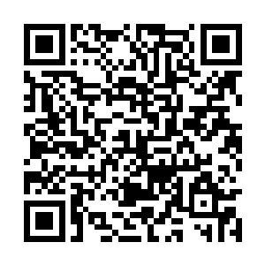 冰凉的触感让杨开知道之前所经历的一切都不是梦二维码生成