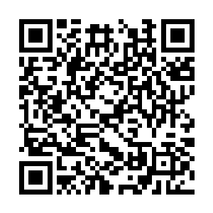 冰柜中的药剂以每天一支的正常速度消耗着的时候二维码生成