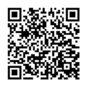 决定要不要治疗还有怎么样治疗的是我该考虑的事情二维码生成
