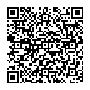 决战一场又一场进行没有人可以猜到下一场决战是哪一个剑府的剑豪对决哪一个剑府的剑豪二维码生成