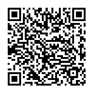 冷天佑和崔浩拿着陶吉离开了这个地方回到了另外一边的人类据点这边二维码生成