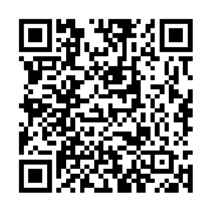 冷寒烟刻意改变的潇洒随意的气质骗过了不少的人二维码生成