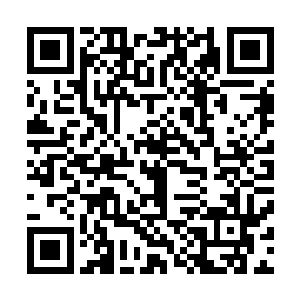 冷寒钰本来自信满满的眼神触及到冷寒烟那不信任的目光时二维码生成