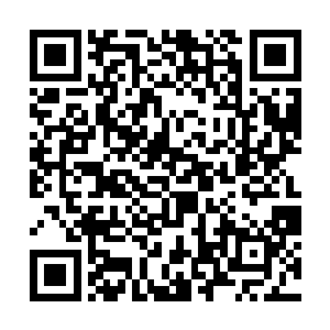 凌天可以修炼的便是四星战士可以修炼的十四套战技二维码生成