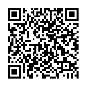 凌天的赵骏韩继军李英杰纷纷劝阻齐隆别像只斗鸡一样二维码生成