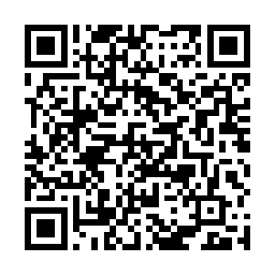 凌菲一向温柔的好像含着水的眸子罕见的显出几分严厉二维码生成