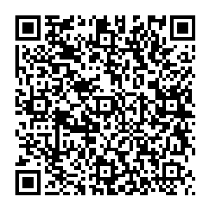 凌菲和青玉种的那些草药以及女人们在外面移植的果树和各种芋头还有土豆秧子简直以肉眼可见的速度长大二维码生成