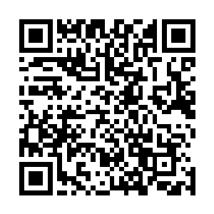 凌菲真要怀疑这几个眼冒精光的女人是想给龙战拉红线的了二维码生成