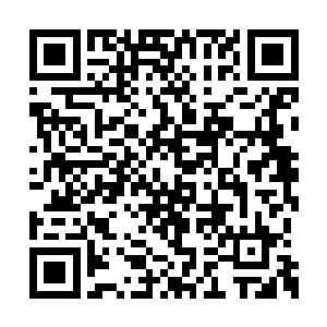 凌菲那从容和善的态度更是赢得了几个人的好感二维码生成