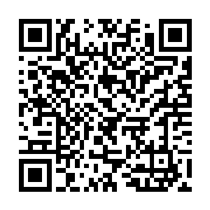 凝聚出自己本源之道种的问道境大修士才能施展而出二维码生成