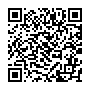 凝重无比的注视这四周可能随时随地发生的变化二维码生成