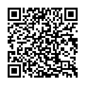 几下暴躁的动作拆掉了左肩的假肢就随手的扔掉二维码生成