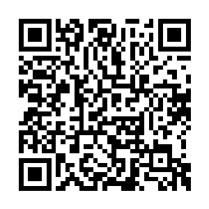 几个亲卫都是张一虎亲自为张毅选拔出来的精锐二维码生成