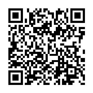 几个失去灵气的储物戒指里就几乎什么都没有了二维码生成