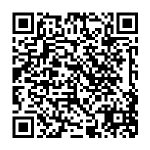 几个铁龙宗的弟子在旁边和周围的几个家族的弟子自成一圈在滔滔不绝的议论二维码生成