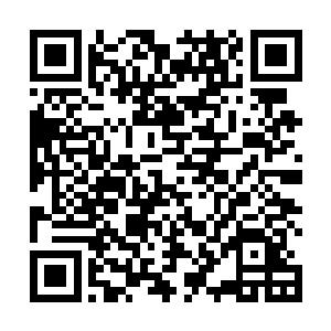 几个青牛和沉浸在兴奋当中的叶竹并未发现叶洁的脸色二维码生成