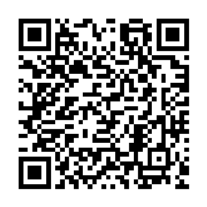 几乎在几个眨眼间便将空地上的二十几个人全部放倒在了地上二维码生成