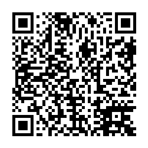 几乎将裂风狼王都坑进去了……它几乎完全置身于无尽的痛苦之中二维码生成