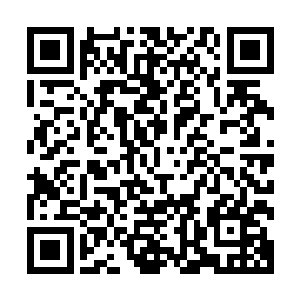 几乎所有的制药公司公司都接受了里程碑式的对赌协议的模式二维码生成