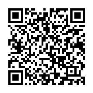 几乎所有的水手都知道作为一个刚上船的新手可能有哪些洋相二维码生成