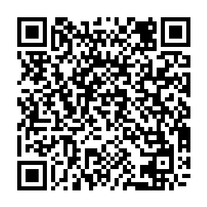 几乎把朱颜当成自己的尾巴挂件的吴幸闻言立即带着朱颜到了流墨墨他们面前二维码生成