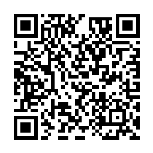 几乎是说着话就迫不及待的把取出的海贝丢向金鲨二维码生成