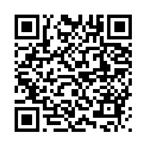 几乎每棵妖树都有两三人同时攻击二维码生成