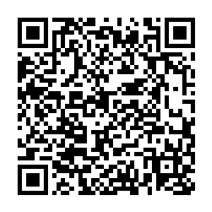 几分钟之后小尼尔萨普兄弟在会客室见到了这几位所谓的矿业集团代表二维码生成