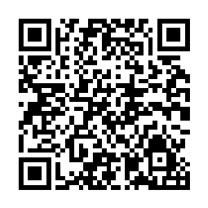 几名侍女也取出了一些美酒灵果摆放在篝火旁边的桌布上二维码生成