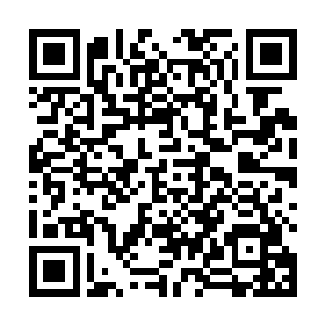 几百只噬金蚁扑簌簌落在地上――张潇晗没有忘记时间二维码生成