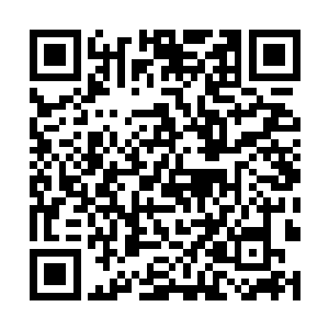 凭借黑色小鸟的模样绝对没有人会联想到真凤之蛋去二维码生成