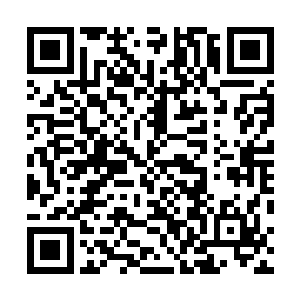 凶戾的战斗气息让他们觉得是和一个人形妖兽在战斗一样二维码生成