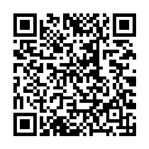 凹凸有致的身材搭配一条毛茸茸的尾巴和两只猫耳朵二维码生成