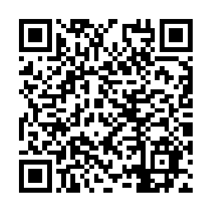 出去后我们冰神殿一定会用各种残酷的手段追杀你二维码生成