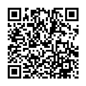 出现在他们面前的千篇一律的洞穴瞬间都消失了二维码生成