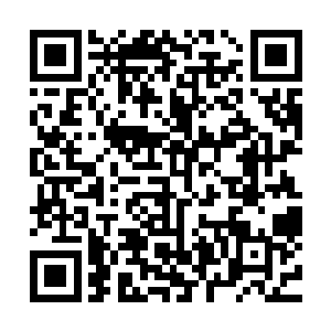 出门的时候丁二狗又发现了今天仲华和他一起来吃食堂的原因二维码生成