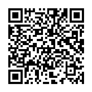 分出了一点点灵魂之力将叶蓝的灵魂碎片聚集起来二维码生成