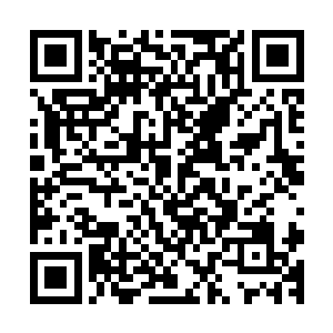 分帮分派的站在校园里用张狂的笑声无形中宣示着自己的地位二维码生成