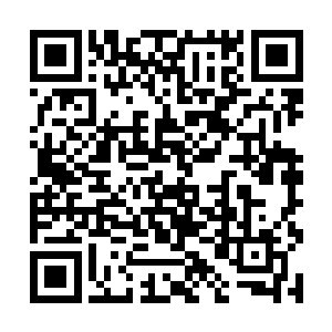 列队欢迎圣隆星界的这些皇族出身的少爷们大驾光临二维码生成